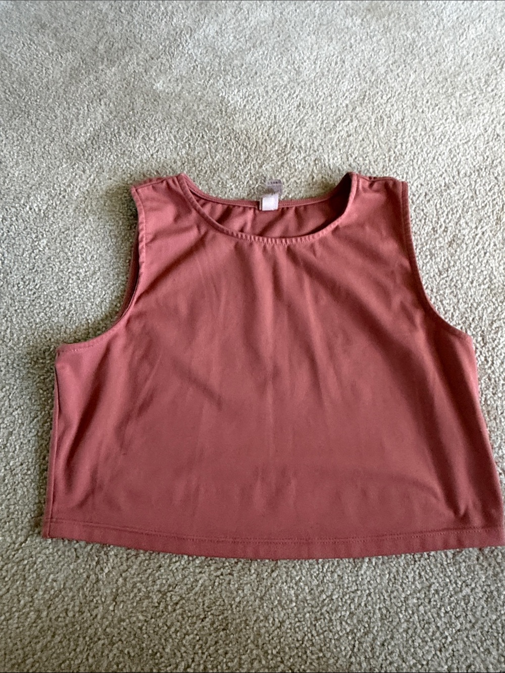 🔥3/$20 Yogalicious Sleeveless Cropped Tank - Rose Clay